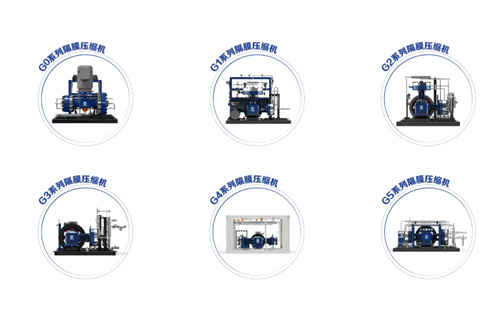 匠心16载—中鼎恒盛定制化打造高品质隔膜压缩机(图2)