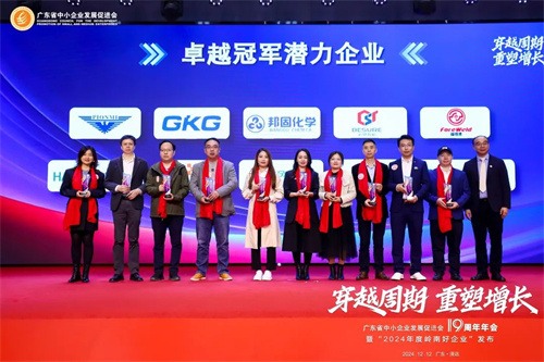 凌宇荣获2024年岭南优秀企业“优秀冠军潜力企业”荣誉(图4)