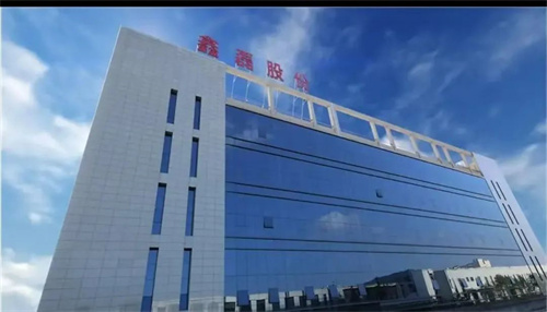 2024年浙江高新技术企业创新能力500强名单公布(图3)