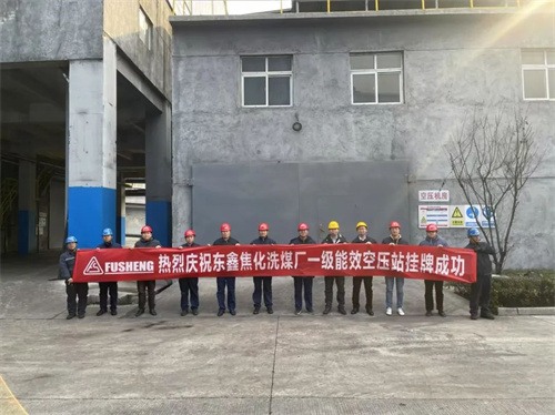 东鑫焦化洗煤厂复盛一级能效站挂牌仪式成功举行(图4)