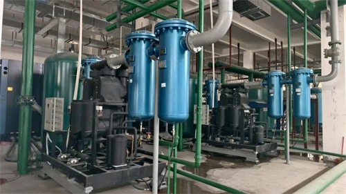 第500台设备交付使用！伊普思为新能源汽车巨头提供优质的压缩空气解决方案(图1)