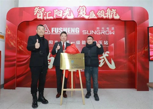 阳光电源揭牌仪式圆满成功(图1)