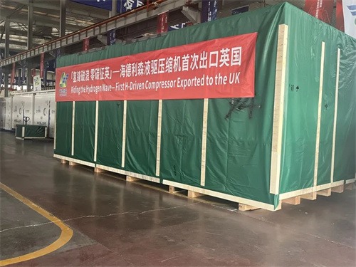 20250409127011.jpg 海德利森液体驱动氢压缩机运往英国(图2)