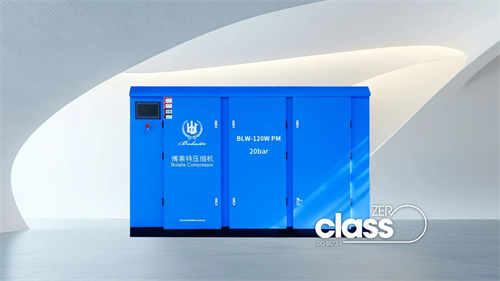 博莱特BLW无油中压系列的独特魅力是什么?(图2)