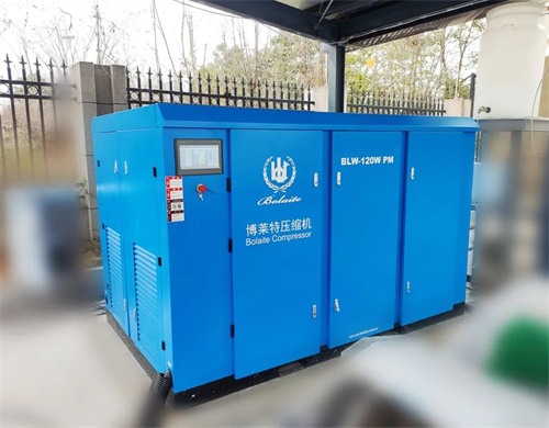 博莱特BLW无油中压系列的独特魅力是什么?(图3)