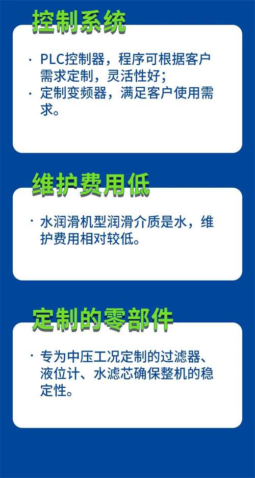 BLW中压系列螺杆空气压缩机(图4)