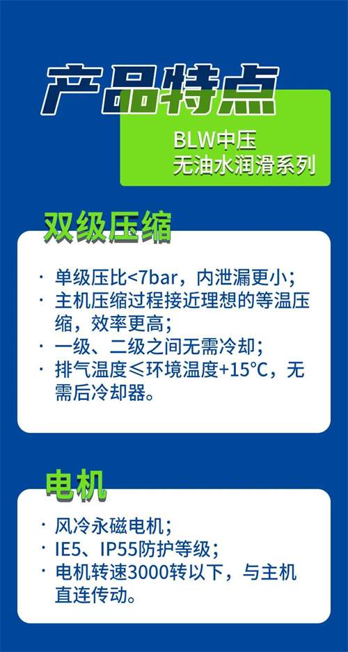 BLW中压系列螺杆空气压缩机(图3)