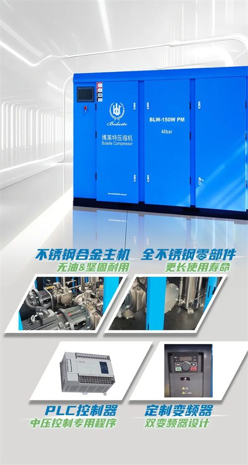 BLW中压系列螺杆空气压缩机(图2)