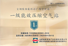宝钢股份有限公司能源环保部工厂西荣获一级能效压缩空气站权威认(图1)