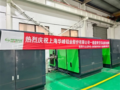 萨震节能空压机 技术护航:赋能企业绿色转型(图5)