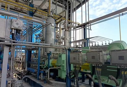 上海齐耀螺杆机械有限公司两级硫化氢无油螺杆压缩机(TDM)首(图1)