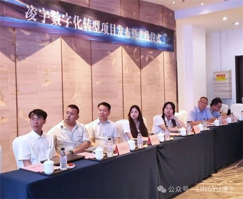 鹤山碧桂园天麓湖凤凰酒店成功举行凌宇数字化转型项目发布启动仪(图1)