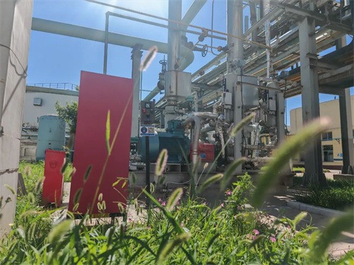 永坪炼油厂两台VOCs液环压缩机(图1)