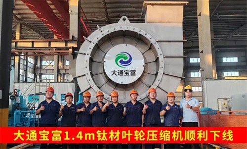 大通宝富有机酸核心工艺段提供蒸汽压缩机(图1)