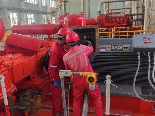 长城钻探苏里格气田分公司苏10(图2)