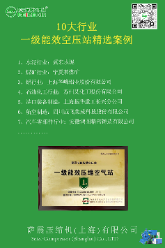 十大行业标杆客户案例 萨震压缩机(上海)有限公司(图1)