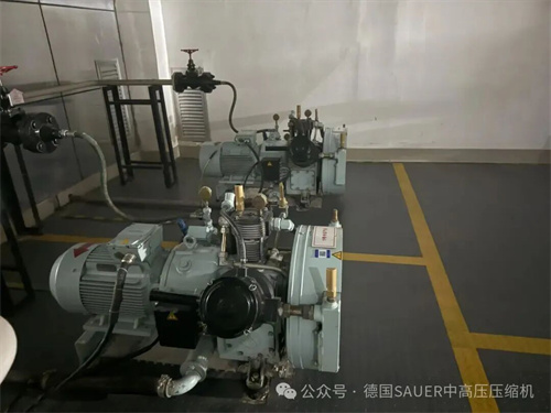 马马亚一级水电站核心项目(图5)