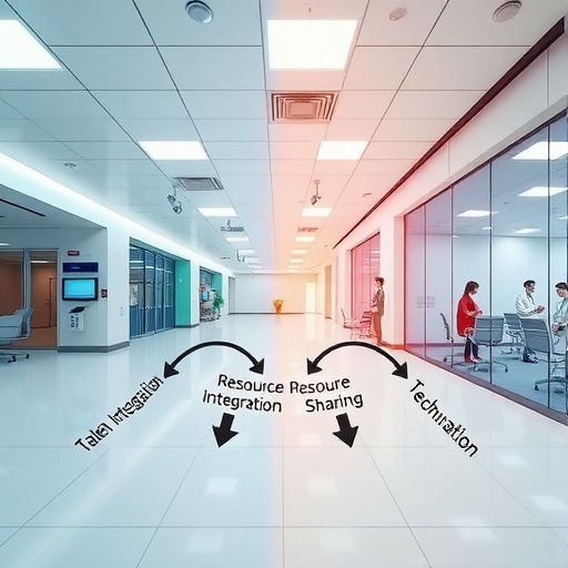 从中美差异看医生集团发展，国内医生集团未来或出现四种“融合”(图1)