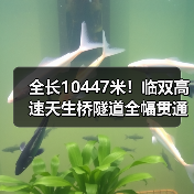 全长10447米！临双高速天生桥隧道全幅贯通（图2）