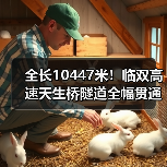 全长10447米！临双高速天生桥隧道全幅贯通（图3）