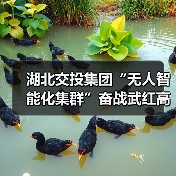 湖北交投集团“无人智能化集群”奋战武红高速(图1) 湖北交投集团“无人智能化集群”奋战武红高速(图1)