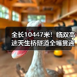 全长10447米！临双高速天生桥隧道全幅贯通（图4）