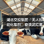 湖北交投集团“无人智能化集群”奋战武红高速(图2) 湖北交投集团“无人智能化集群”奋战武红高速(图2)