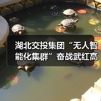 湖北交投集团“无人智能化集群”奋战武红高速(图4) 湖北交投集团“无人智能化集群”奋战武红高速(图4)