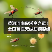 黄河河南段塔高之最！全国首座无纵筋钢混组合塔成功封顶（图4）