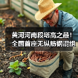 黄河河南段塔高之最！全国首座无纵筋钢混组合塔成功封顶（图3）