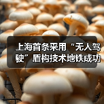 上海首条采用“无人驾驶”盾构技术地铁成功始发！（图4）