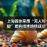 上海首条采用“无人驾驶”盾构技术地铁成功始发！（图1）