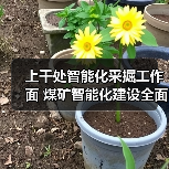 上千处智能化采掘工作面 煤矿智能化建设全面提速（图3）