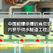 中国能建承建的肯尼亚内罗毕供水隧道工程正式移交(图4) 中国能建承建的肯尼亚内罗毕供水隧道工程正式移交(图4)