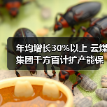 年均增长30%以上 云煤集团千方百计扩产能保(图3) 年均增长30%以上 云煤集团千方百计扩产能保(图3)