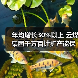年均增长30%以上 云煤集团千方百计扩产能保(图1) 年均增长30%以上 云煤集团千方百计扩产能保(图1)