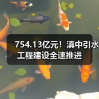754.13亿元！滇中引水工程建设全速推进（图3）