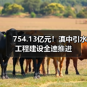 754.13亿元！滇中引水工程建设全速推进（图4）