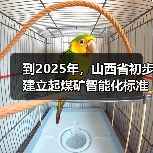 到2025年,山西省初步建立起煤矿智能化标准体系(图4) 到2025年,山西省初步建立起煤矿智能化标准体系(图4)