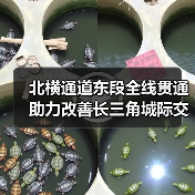北横通道东段全线贯通 助力改善长三角城际交通网络格局(图2) 北横通道东段全线贯通 助力改善长三角城际交通网络格局(图2)