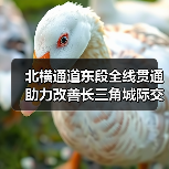 北横通道东段全线贯通 助力改善长三角城际交通网络格局(图4) 北横通道东段全线贯通 助力改善长三角城际交通网络格局(图4)