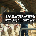 北横通道东段全线贯通 助力改善长三角城际交通网络格局(图3) 北横通道东段全线贯通 助力改善长三角城际交通网络格局(图3)