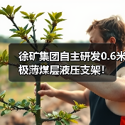 徐矿集团自主研发0.6米极薄煤层液压支架!(图4) 徐矿集团自主研发0.6米极薄煤层液压支架!(图4)