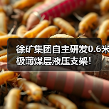徐矿集团自主研发0.6米极薄煤层液压支架!(图2) 徐矿集团自主研发0.6米极薄煤层液压支架!(图2)