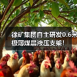 徐矿集团自主研发0.6米极薄煤层液压支架!(图3) 徐矿集团自主研发0.6米极薄煤层液压支架!(图3)