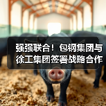 强强联合!包钢集团与徐工集团签署战略合作协议(图1) 强强联合!包钢集团与徐工集团签署战略合作协议(图1)
