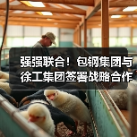 强强联合!包钢集团与徐工集团签署战略合作协议(图4) 强强联合!包钢集团与徐工集团签署战略合作协议(图4)