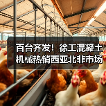 百台齐发！徐工混凝土机械热销西亚北非市场（图1）