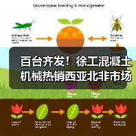 百台齐发！徐工混凝土机械热销西亚北非市场（图3）