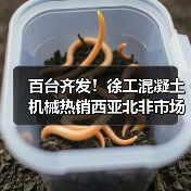 百台齐发！徐工混凝土机械热销西亚北非市场（图4）